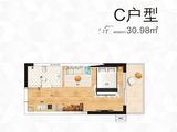 鸿润晨阳公馆_C户型 建面30平米