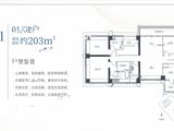 开云府_3室2厅3卫 建面203平米